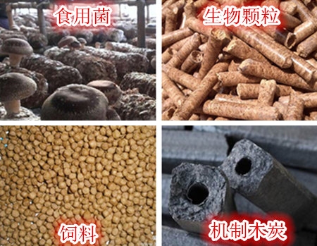 ģ��˺��C(j��)