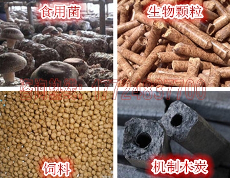 ľ�^����C(j��)